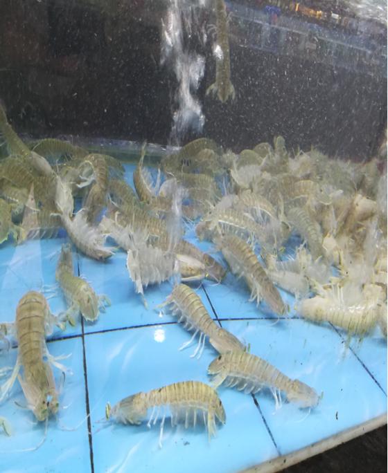 三亚必买10件礼物,三亚免税城购物攻略