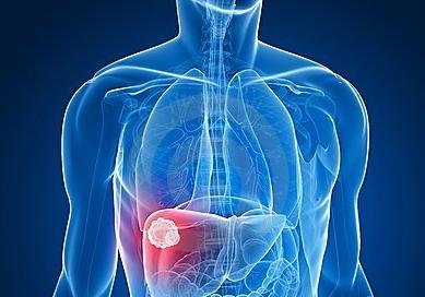 中国特产双十一,滋补品双11活动