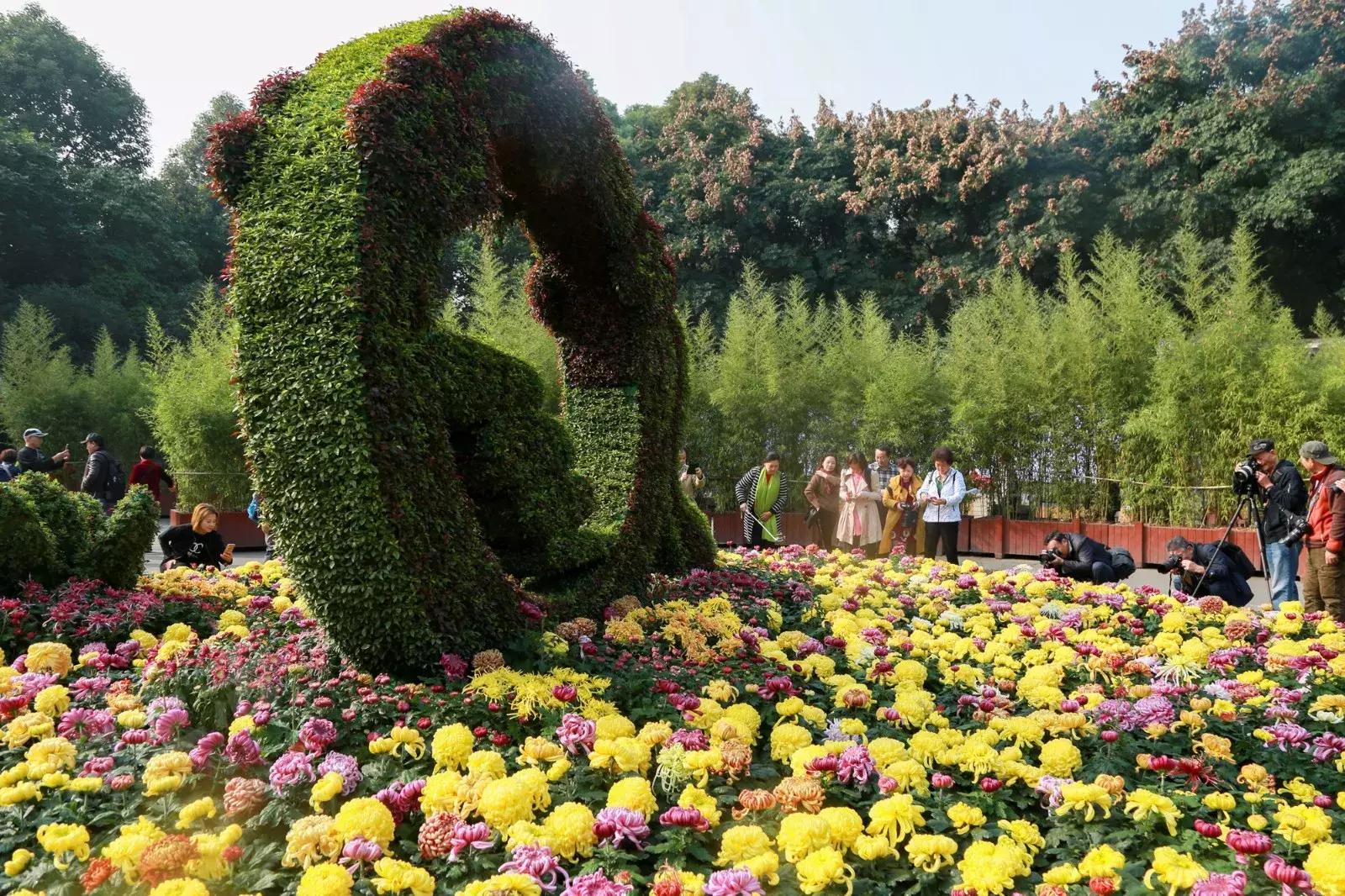 成都有哪些优惠,在成都能享受到什么