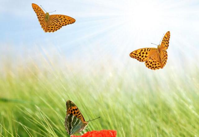 想辞职但是不知道怎么开口,想辞职怎么开口才合适