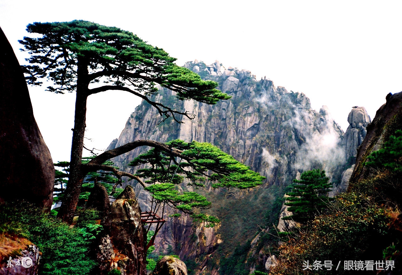 合肥去黄山自驾还是坐车,合肥到黄山自驾旅游攻略