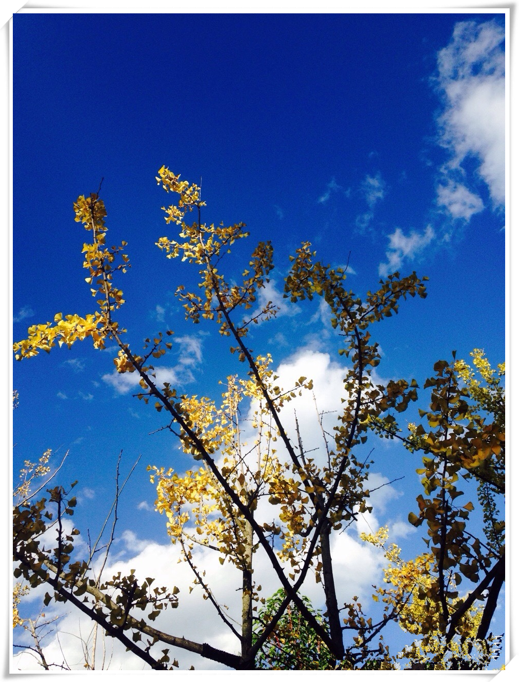 科普天空为什么是蓝色,关于天空的科普短视频