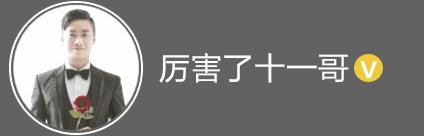 canmake八色眼影测评,canmake完美眼影测评