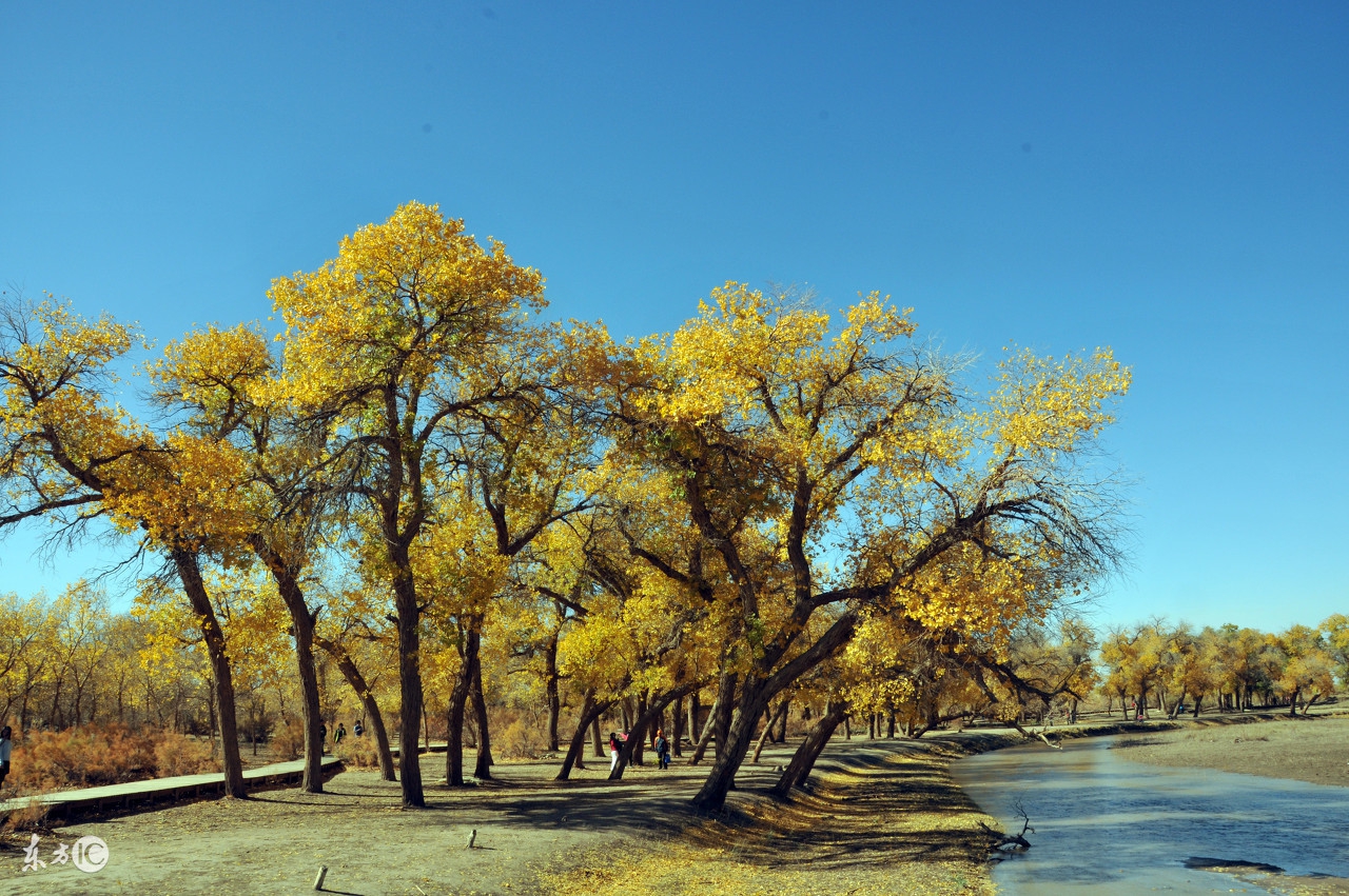 生肖蛇和蛇婚配吗,生肖蛇和羊婚配如何