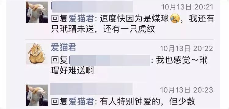 玳瑁猫最丑的猫,玳瑁猫长得好凶