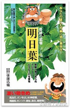 明日叶的故事,明日叶的骗局