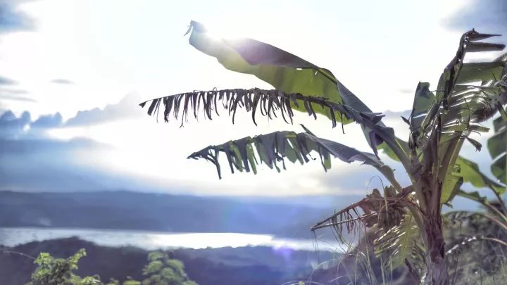 马尼拉菲律宾自由行 (2019菲律宾马尼拉游记)