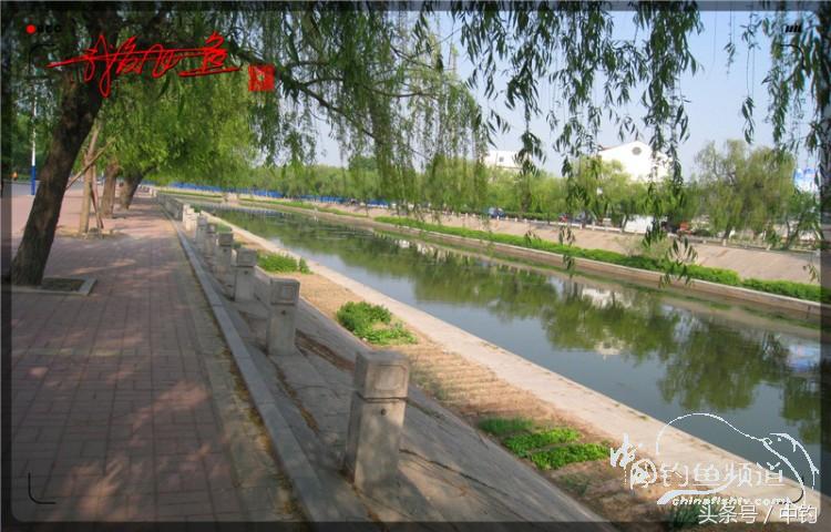 陪伴孩子的野餐,周末家庭式野餐陪伴家人