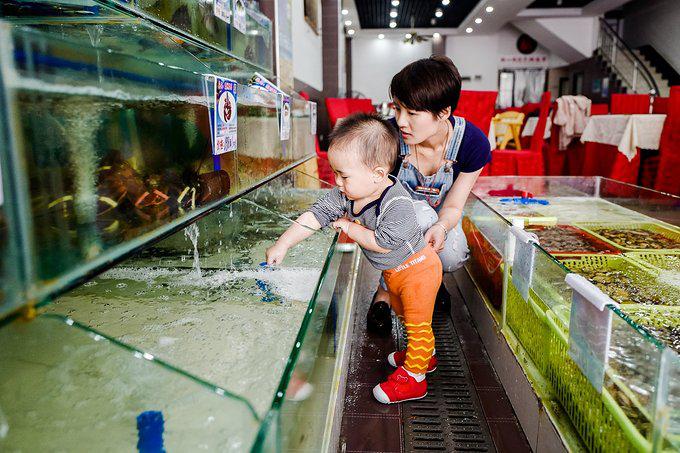 带父母去三亚游玩攻略,爸妈三亚旅游攻略