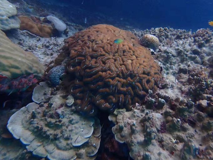 帕劳旅行全攻略,帕劳旅行攻略最佳方案