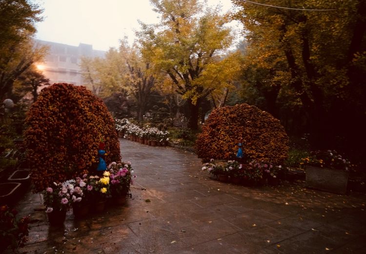 温州的春天有哪些特点,温州春夏秋冬