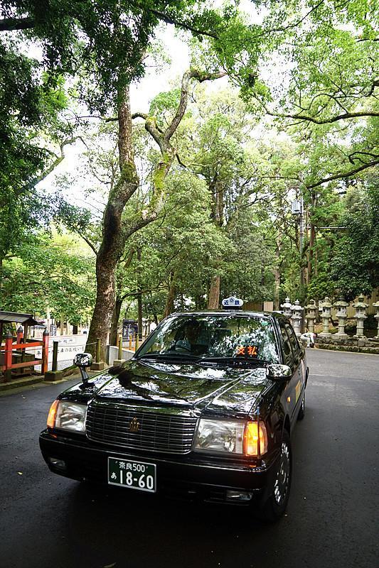 日本关西夏日赏——今夕传媒旅行家出品