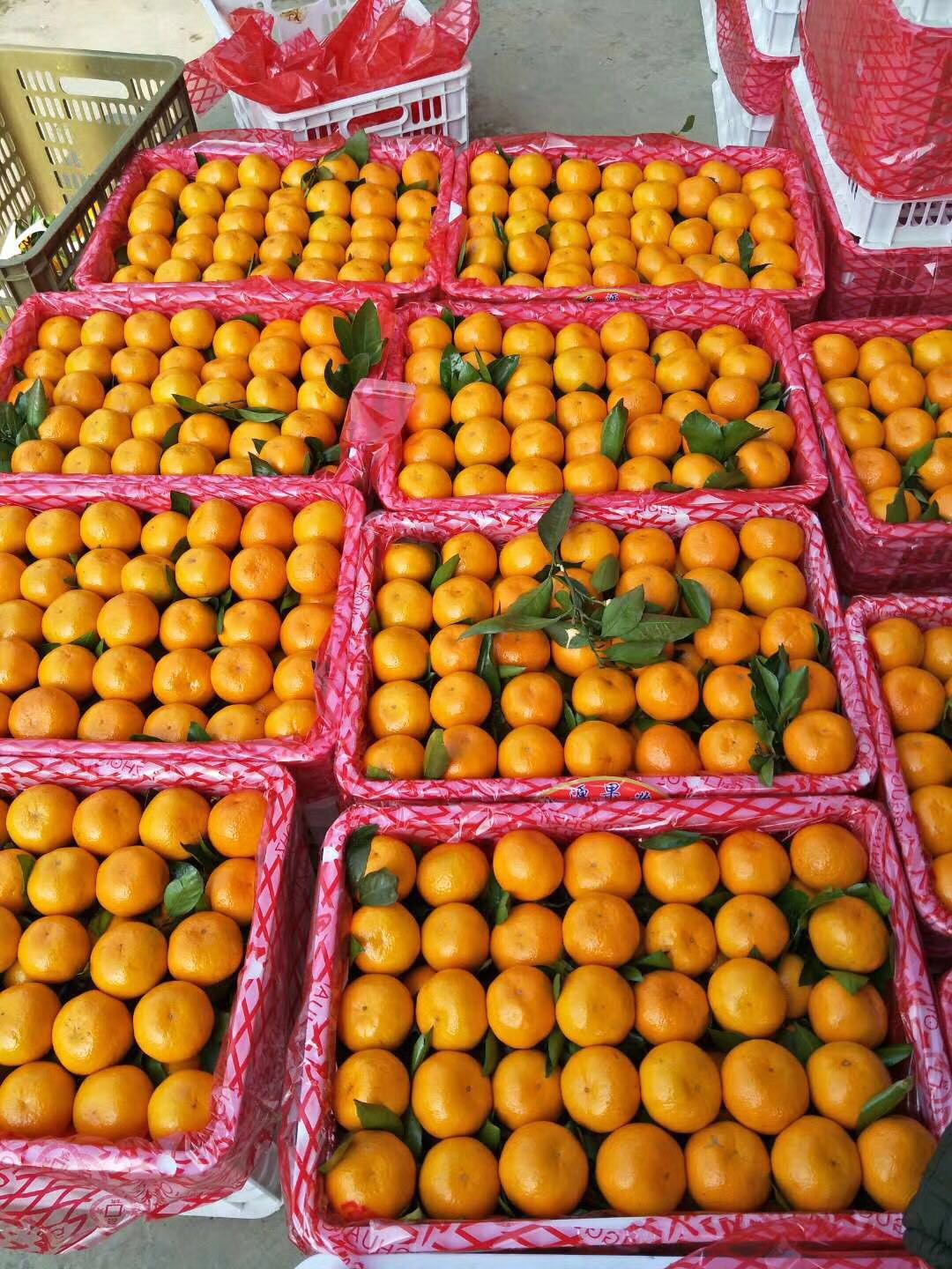 80后卖橘子,卖橘子案例