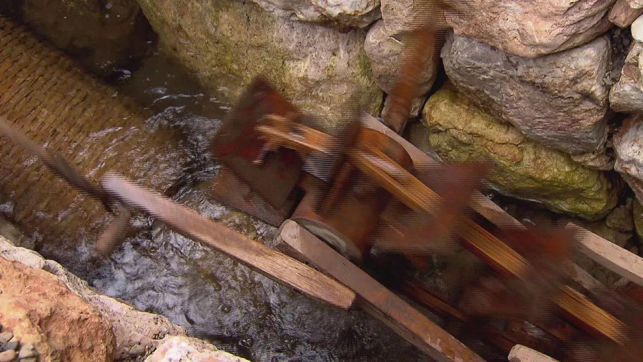 不用网不用钩就能捕到鱼？答案就在这里