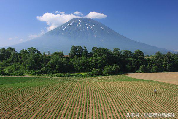 中国资本“爆买”北海道土地？日网民：中国打到了日本的弱点
