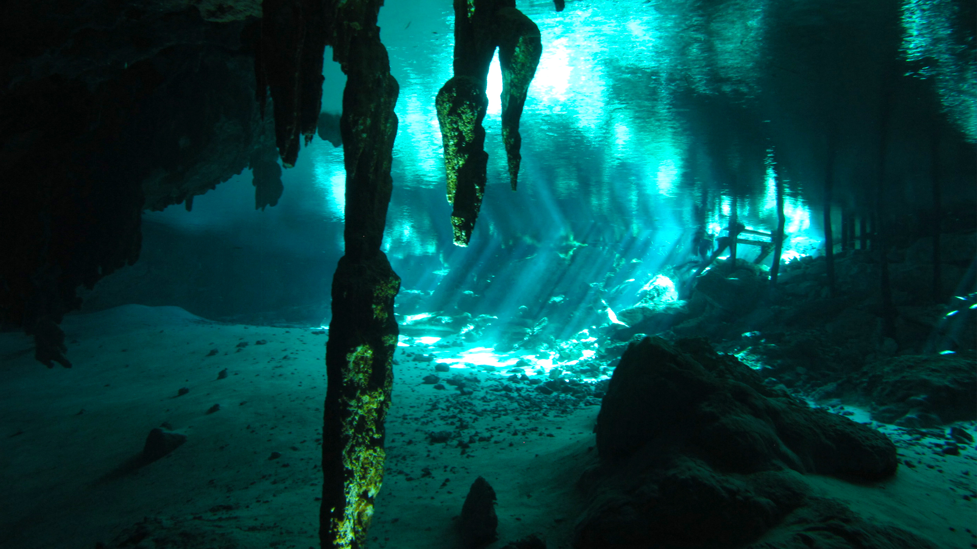 探索玛雅,玛雅文明与天然井