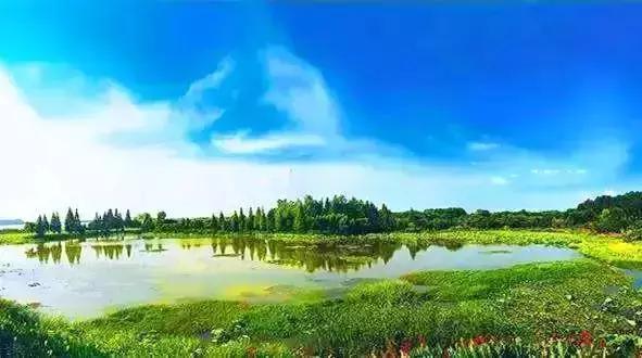 倒计时43天！武汉首条高富帅专列地铁下月就要通车啦！