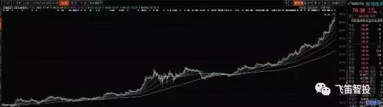 什么是成长股和价值股,什么是高成长股