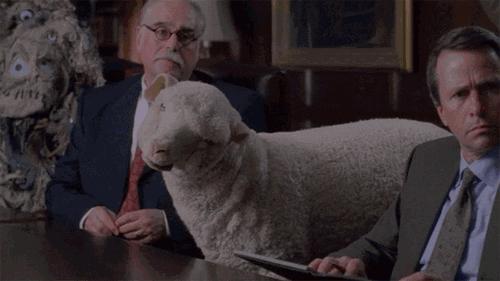 英国公主大衣,英国公主穿搭大衣