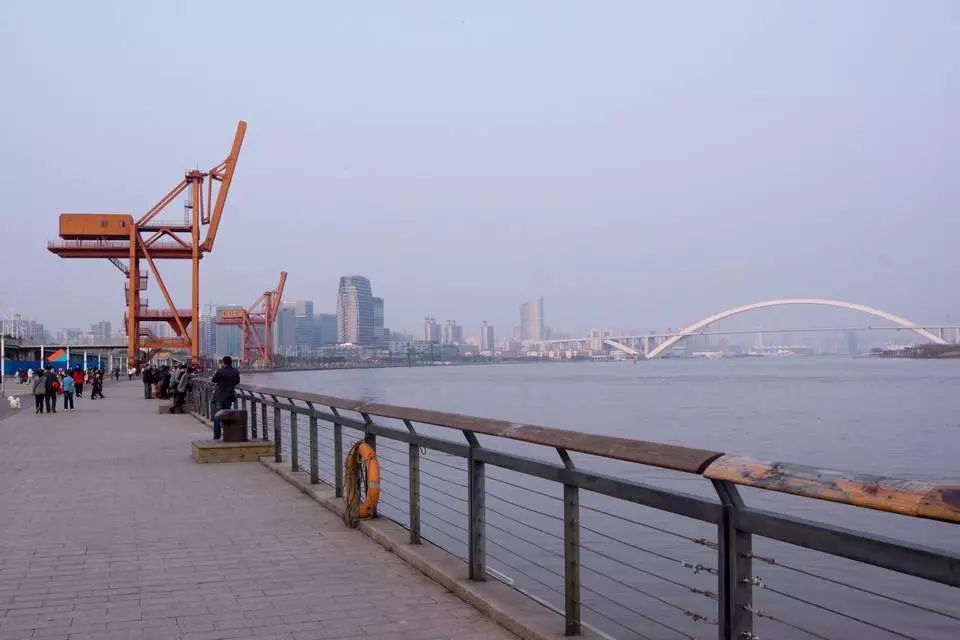 上海松江未来地铁线路图2025超清,上海各区旅游地铁线路图