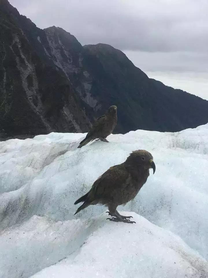 他们有钱,会玩,没有中产焦虑