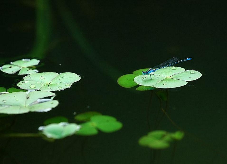 避免在沟里翻船,避免翻船攻略