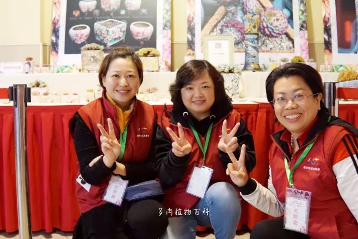 公认最美4种多肉植物图片,2014年上海多肉植物展图片