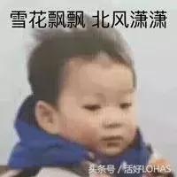 拯救发际线的生发神器,拯救发际线神器