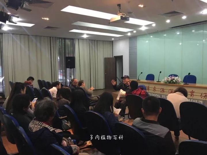 公认最美4种多肉植物图片,2014年上海多肉植物展图片