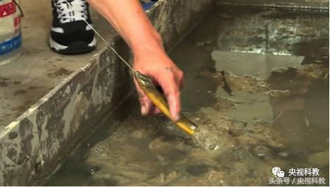 我爱发明引鳝出洞视频,引鳝出洞