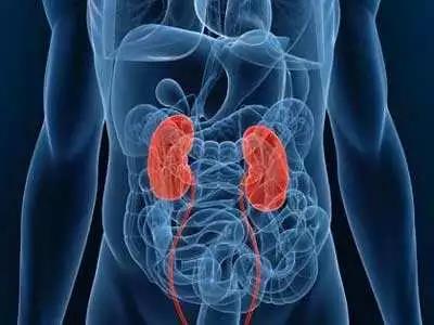 开封中心医院泌尿外科主任,开封肿瘤医院泌尿科