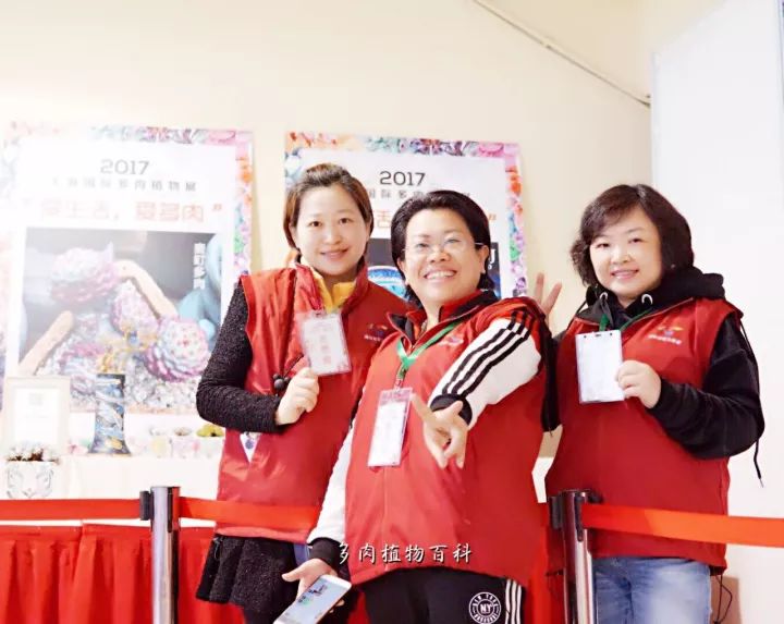 公认最美4种多肉植物图片,2014年上海多肉植物展图片