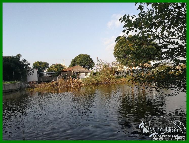 爽钓渔具,爽钓黄金版