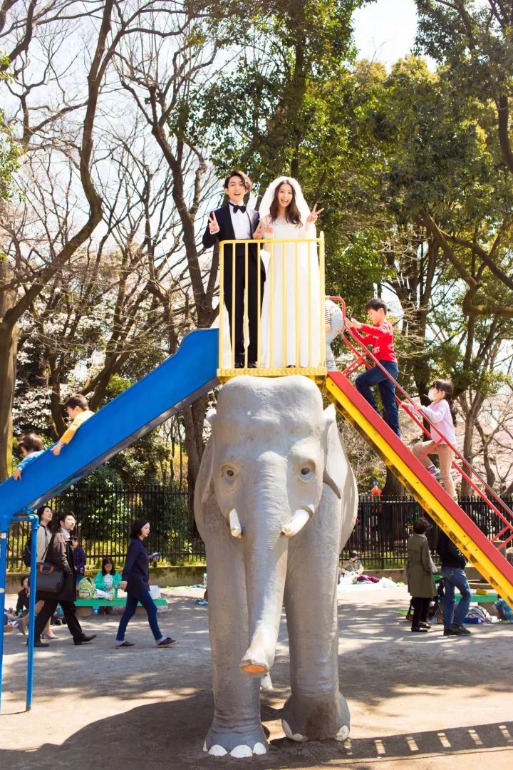 原来拍婚纱照还可以这样拍,原来婚纱照还可以这样拍