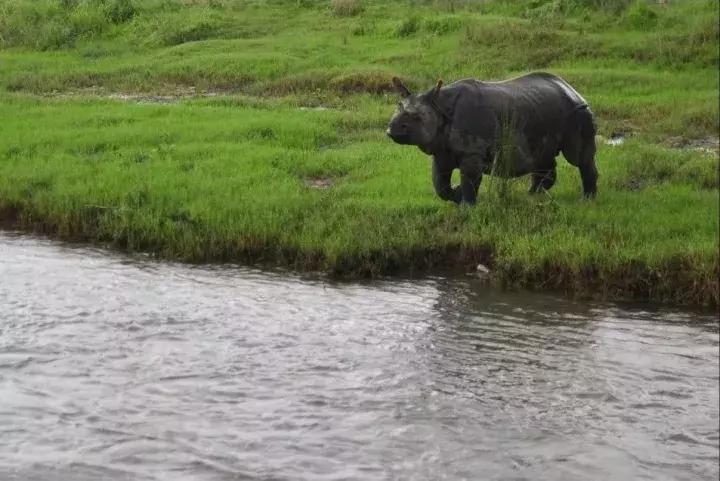 没去过尼泊尔旅游,没有去过西藏更没去过吉隆坡