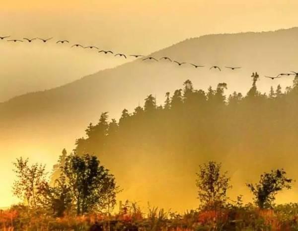 写秋思的诗词有很多，但是写出其雄壮悲凉的，只有这一首宋词