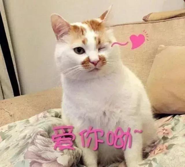 懒人必备的睡眠面膜，我只买这五款！