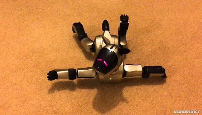 比起在座的诸位它才是一条真“索狗”