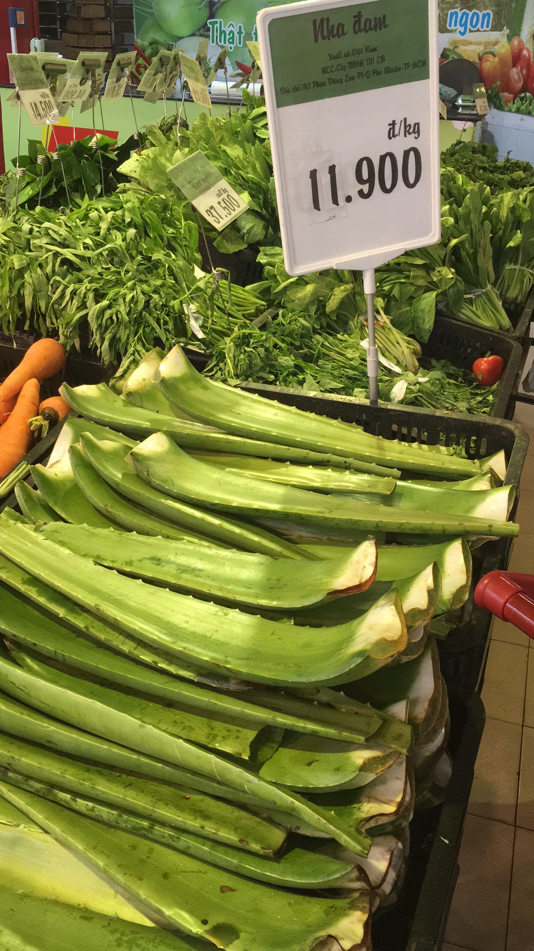 越南岘港旅游攻略头条搜索,越南岘港4日游旅游报价