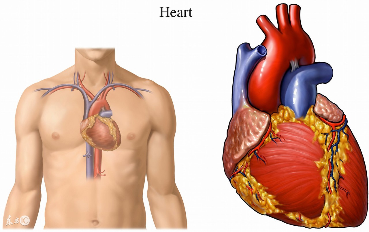 crispr基因治疗,crispr需要测基因序列吗