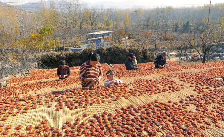 金秋沂南,诗意流淌有那么一群爱美的人,把秋季沂南送到你面前