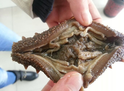 别让补品火上浇油,补品的危害