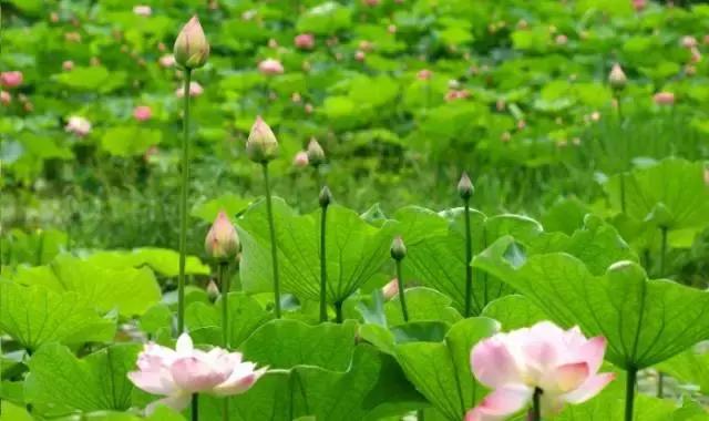 永州到底是几线城市,目前永州是几线城市