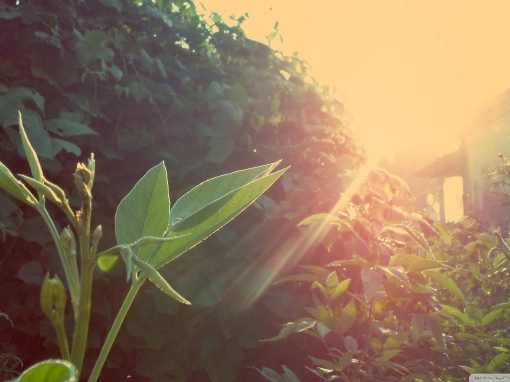 美国留学最好的50所大学,留学哪里最高级