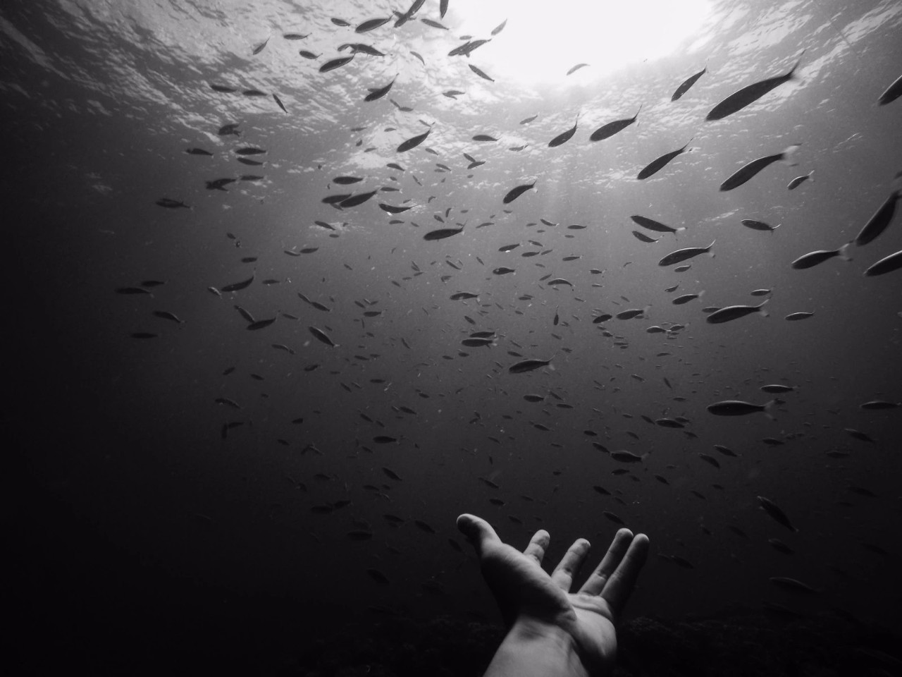 潜水零基础入门教程 (10个简单又可能被忽略的潜水技巧)