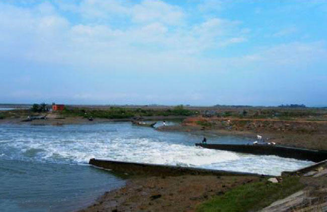 湛江钓水面乌头,湛江雷州钓乌头