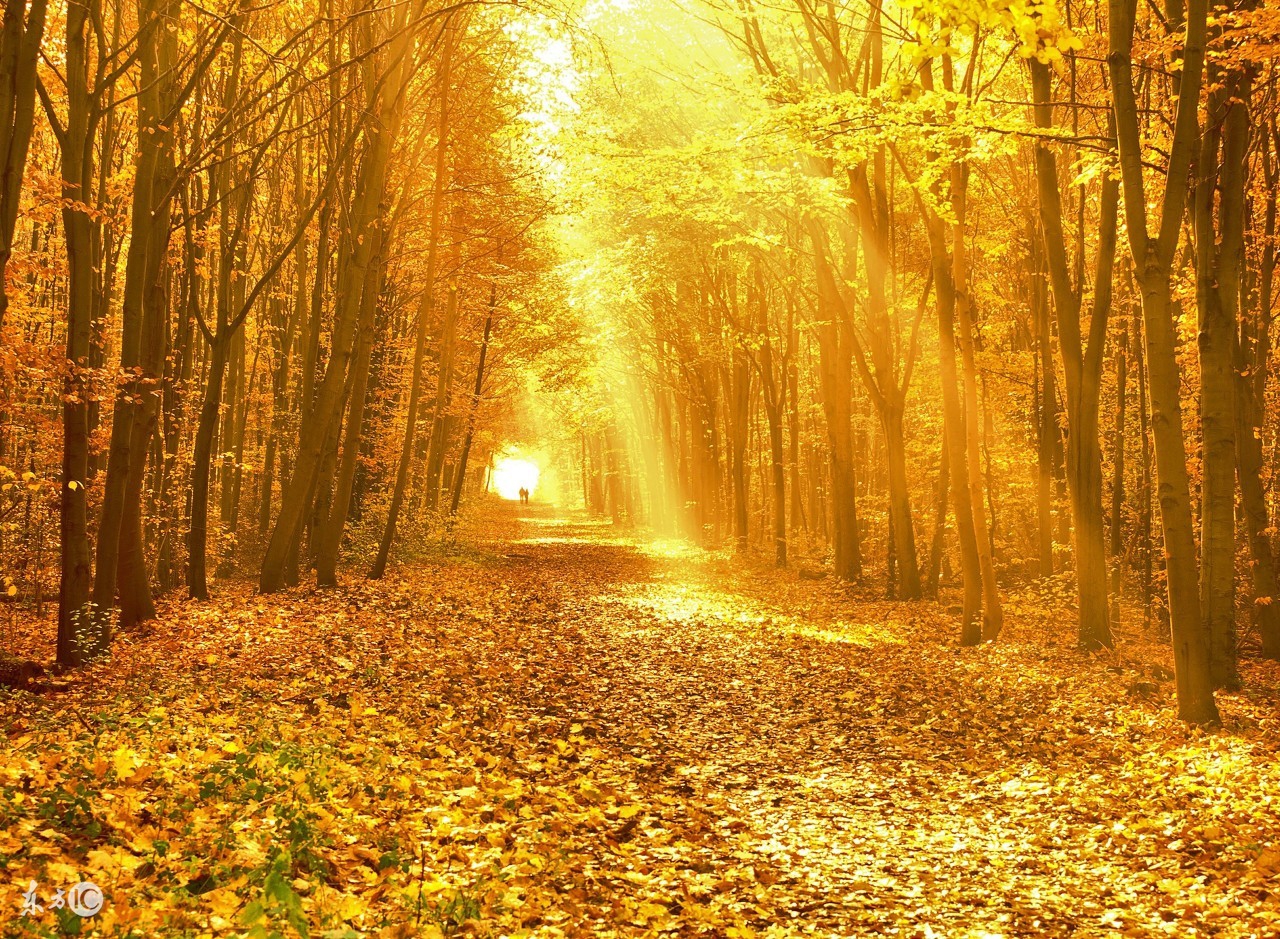 《江月》连载：他坏坏的，还精神分裂，却悄悄夺走了她的心！