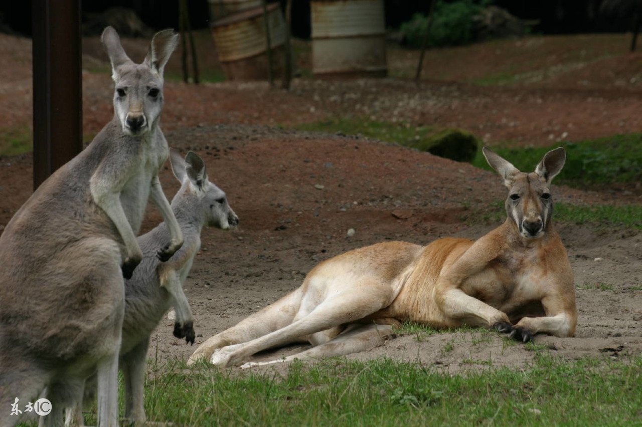 你知道的一条最高冷的知识是什么？