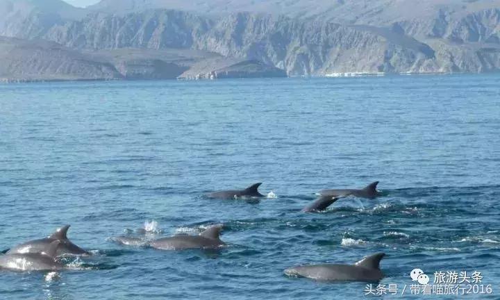 阿曼落地签中国,去阿曼落地签