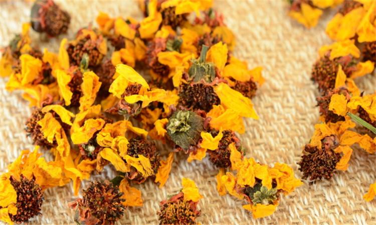 雪菊的美容功效与作用是什么,雪菊有祛痘的功效吗